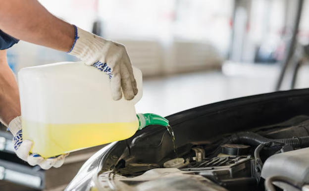 Choosing the Right Oil